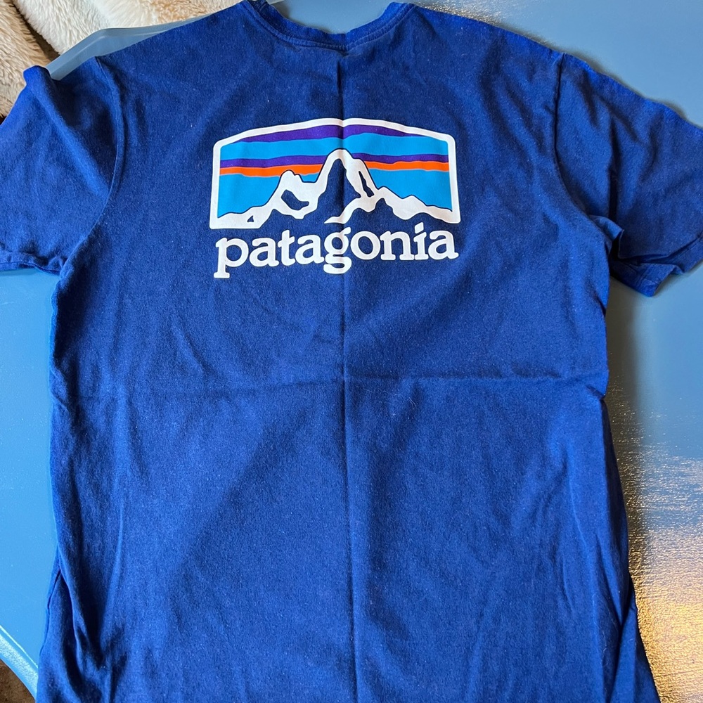 Patagonia tee shirt, small XS